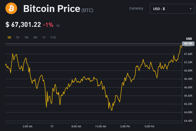 Bitcoin (BTC) Price drop 