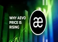 Aevo Price: Reasons Why AEVO Price is Rising