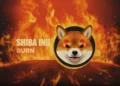 Shiba Inu Coin Poised for Reversal as Burn Rate Soars by 8500%