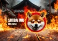 Shiba Inu Burn Rate Soars 1100%, SHIB Set to Hit $0.00002 Soon?
